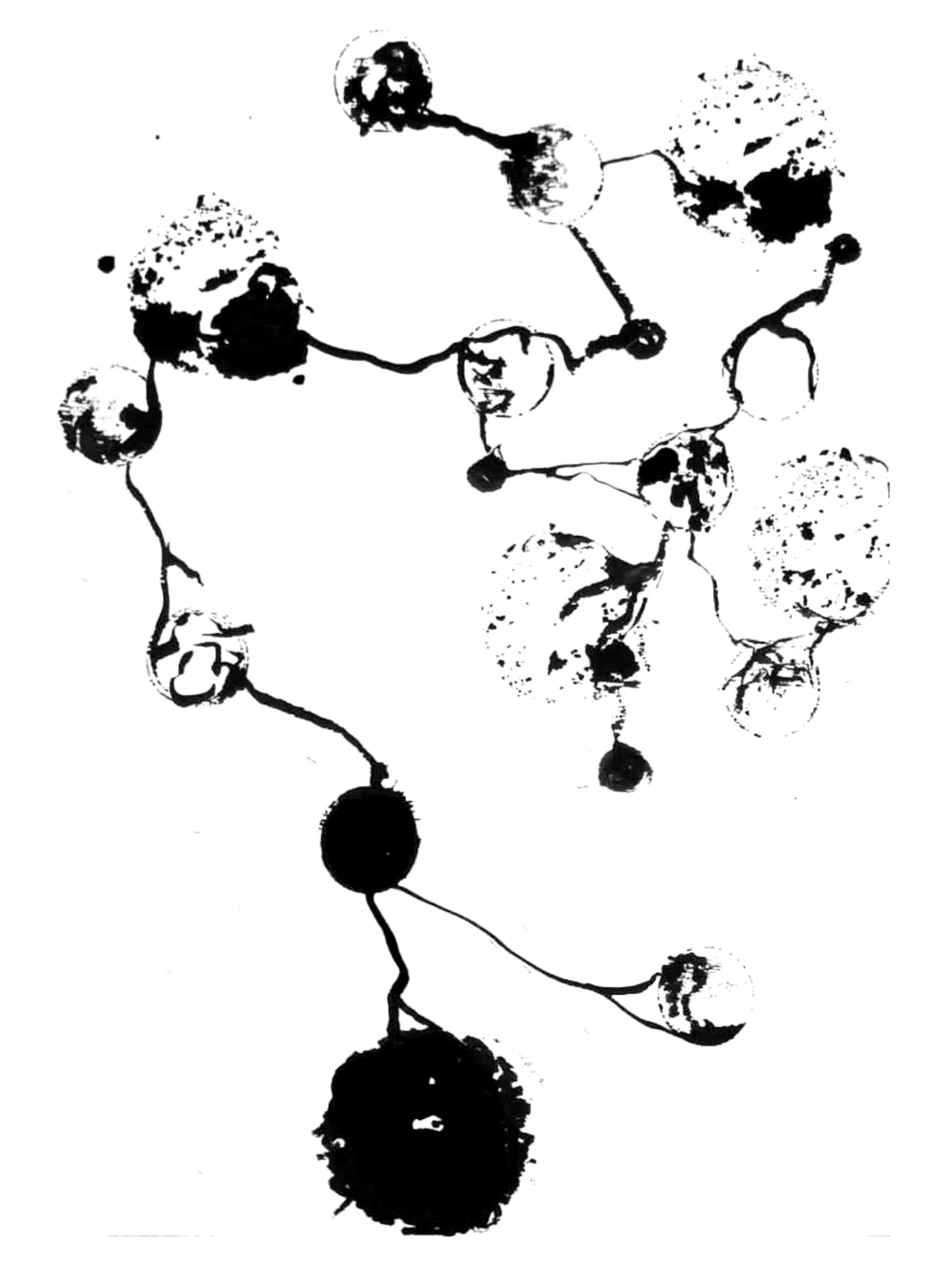 constellation<br />
noir et blanc sur papier<br />
Moon Glasses
