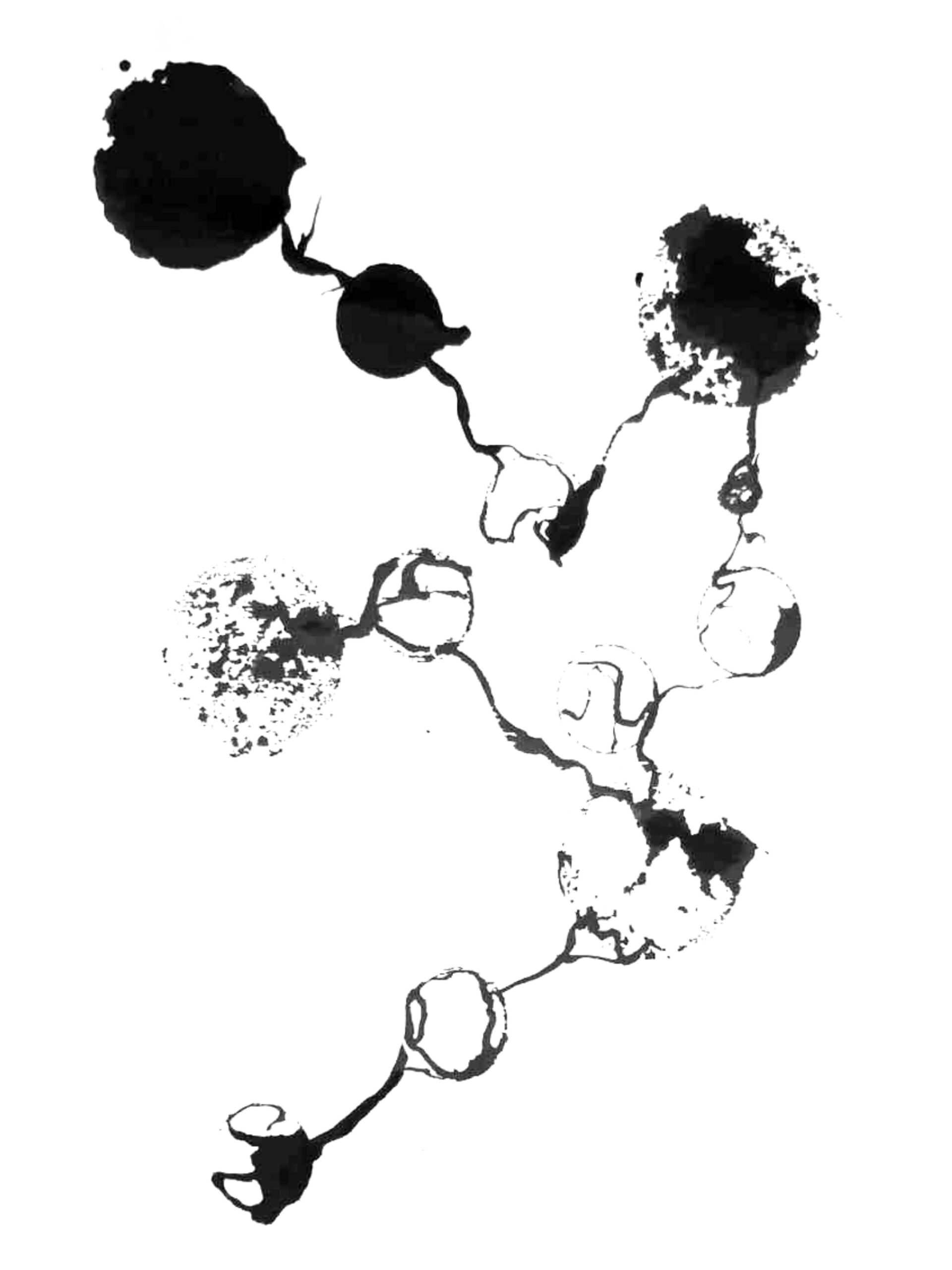 382526567_276888498505507_4932623818687911449_n Moon Glasses Encre sur papier Constellation