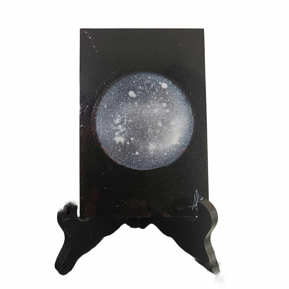 Moon Glasses<br />
Alexia Vertsraelen<br />
Peinture sur Plexiglass
